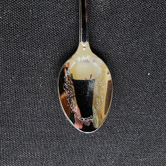 Columbia Icefields Jasper Alberta Canada Collector Souvenir Spoon 4.5" (11cm)
