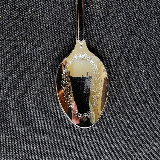 Columbia Icefields Jasper Alberta Canada Collectible Souvenir Spoon 4.5" (11cm)