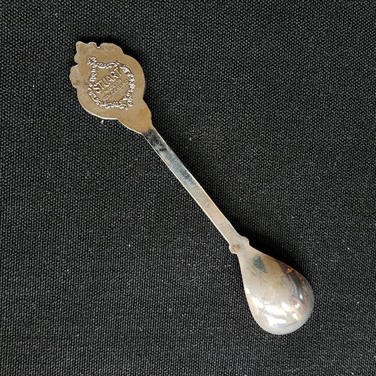 Waikiki Beach Hawaii Collector Souvenir Spoon 4.5" (11cm)