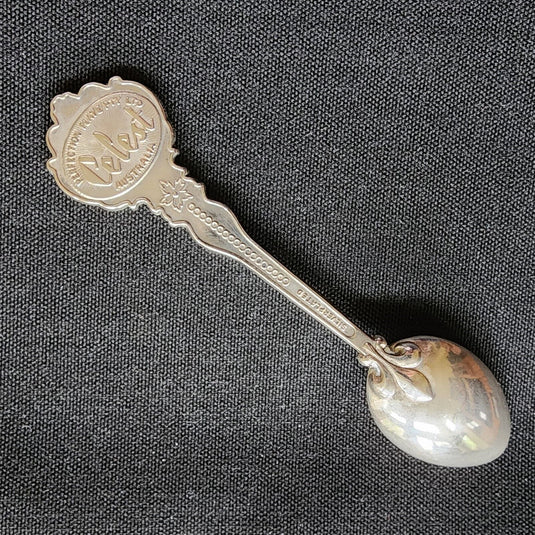 Grand Teton National Park Collector Souvenir Spoon 5" Silver Plated by Celest