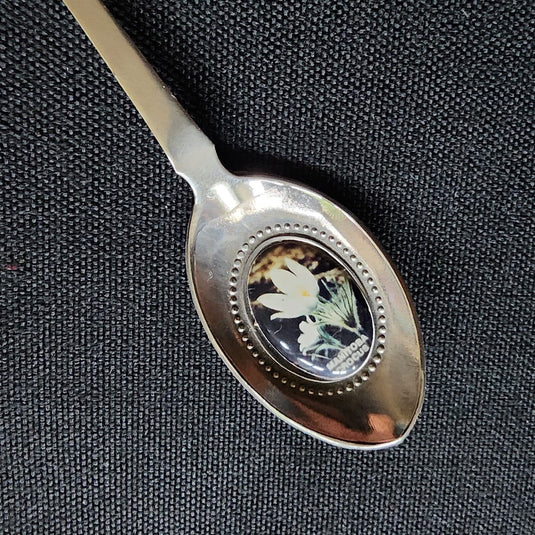 Winnipeg Canada Collector Souvenir Spoon 5" (12cm) Silver Plated