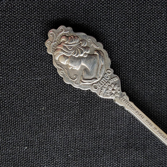 Vancouver British Columbia Collector Souvenir Spoon 4 1/4in Silver Plated