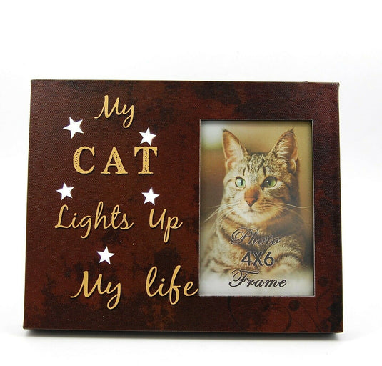 Cat Photo Frame 4" x 6" LED Light Up Lighted Canvas Wall or Tabletop Picture Art