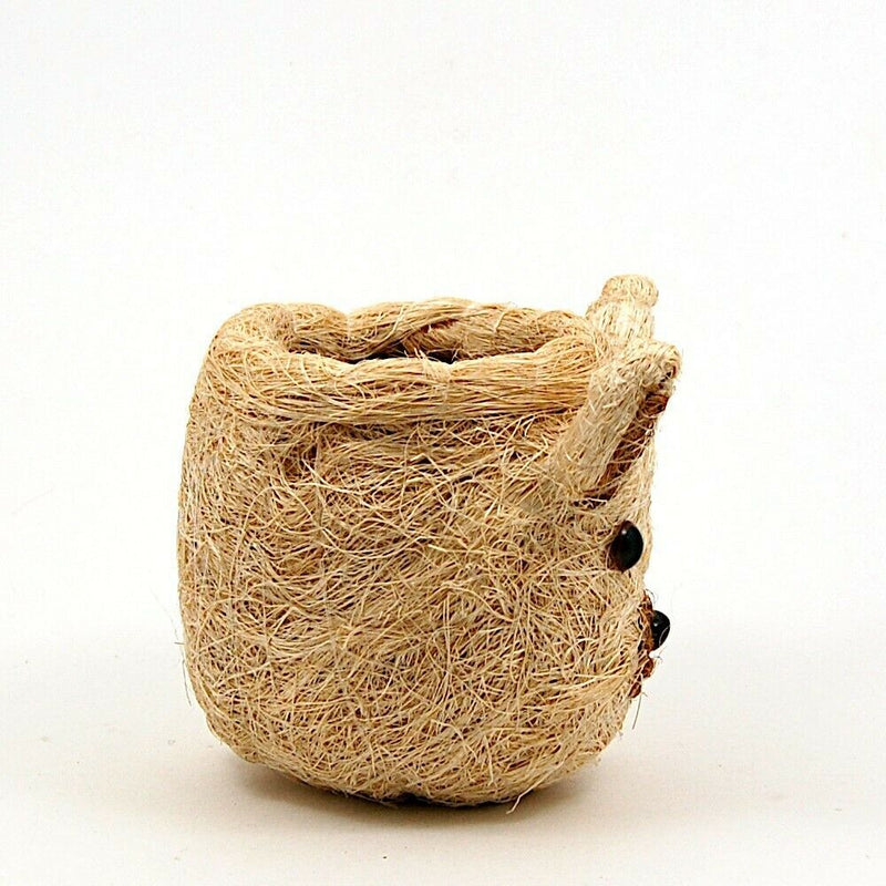 Load image into Gallery viewer, Cat Face Flower Pot Beige Coco Coir Animal Head Succulent Plant Holder
