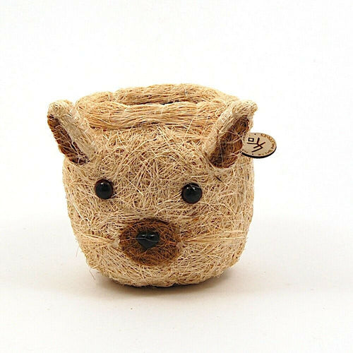 Cat Face Flower Pot Beige Coco Coir Animal Head Succulent Plant Holder