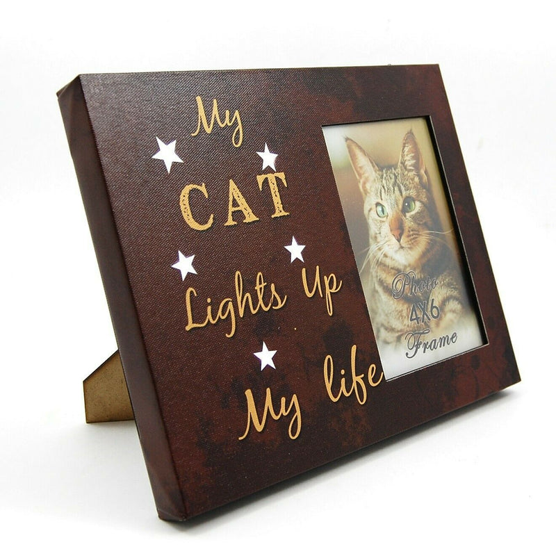 Load image into Gallery viewer, Cat Photo Frame 4" x 6" LED Light Up Lighted Canvas Wall or Tabletop Picture Art
