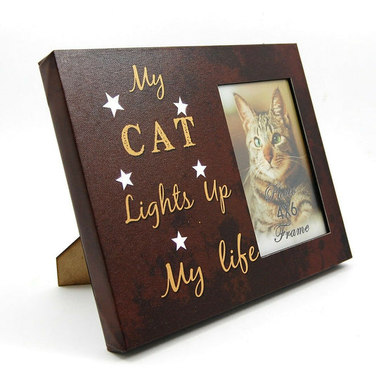 Cat Photo Frame 4" x 6" LED Light Up Lighted Canvas Wall or Tabletop Picture Art