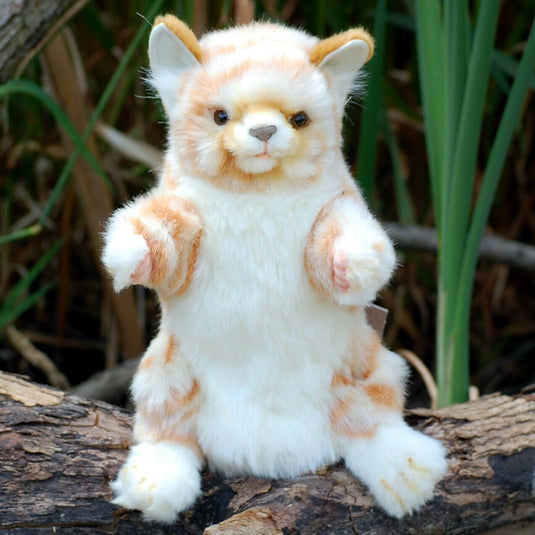 Ginger Cat Hand Puppet Full Body Doll Hansa Realistic Look Animal Learning Toy