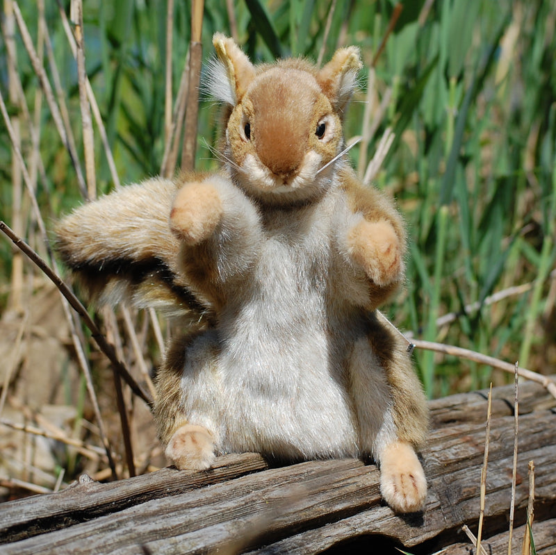 Load image into Gallery viewer, Squirrel Full Body Hand Puppet Doll Hansa Realistic Looking Plush Learning Toy
